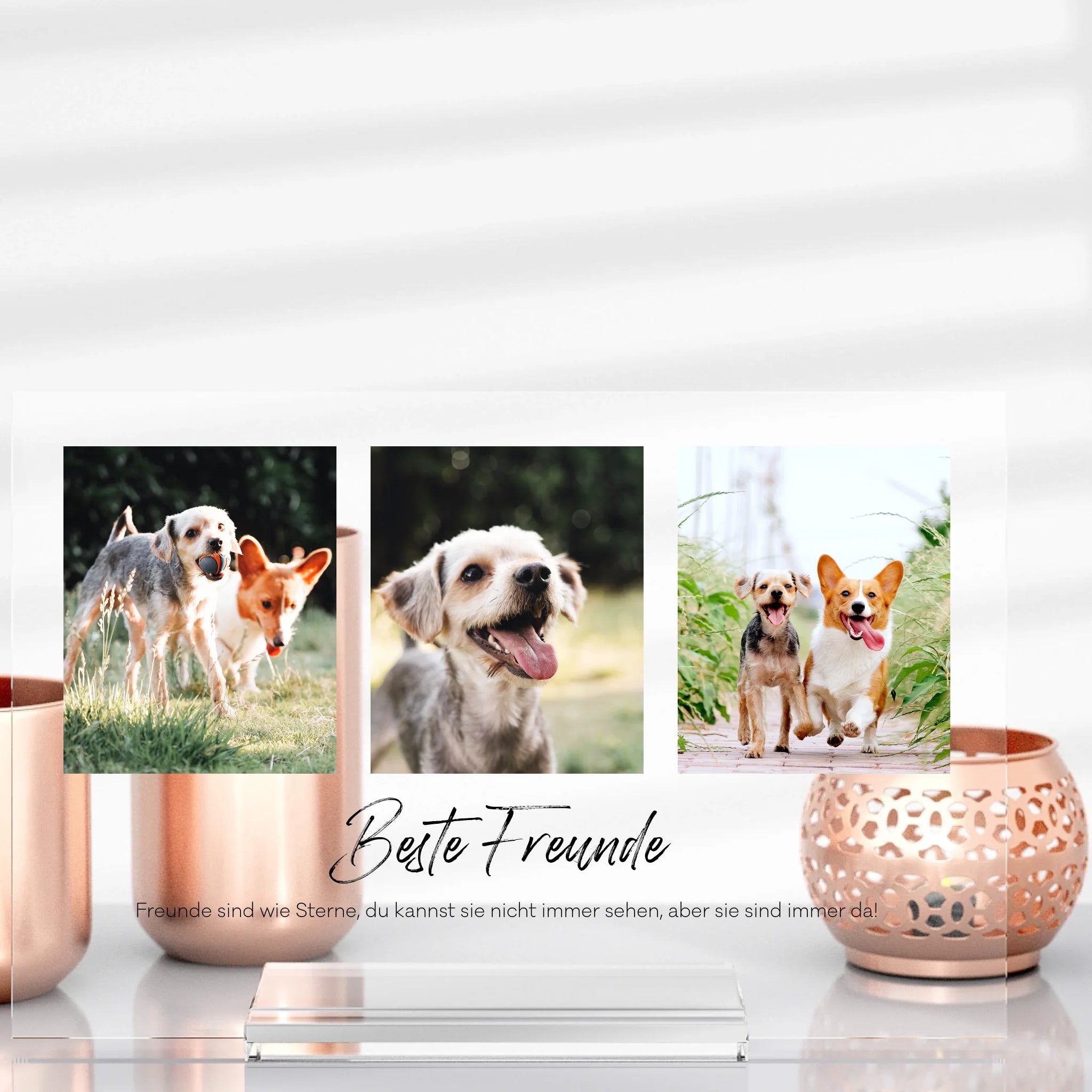 Tier-Aufsteller aus Glas